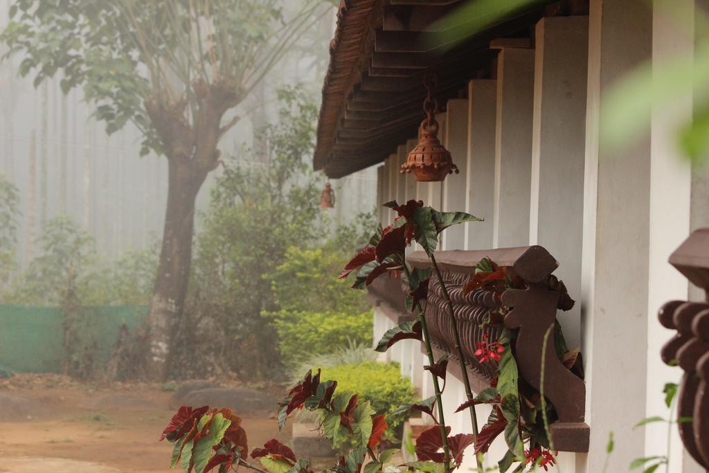 Annapara Home Stay 1/41