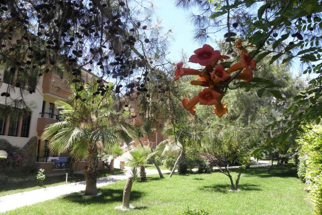 Aleria Belport Beach Hotel 6/71