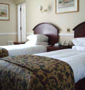 Scores Hotel 7/33