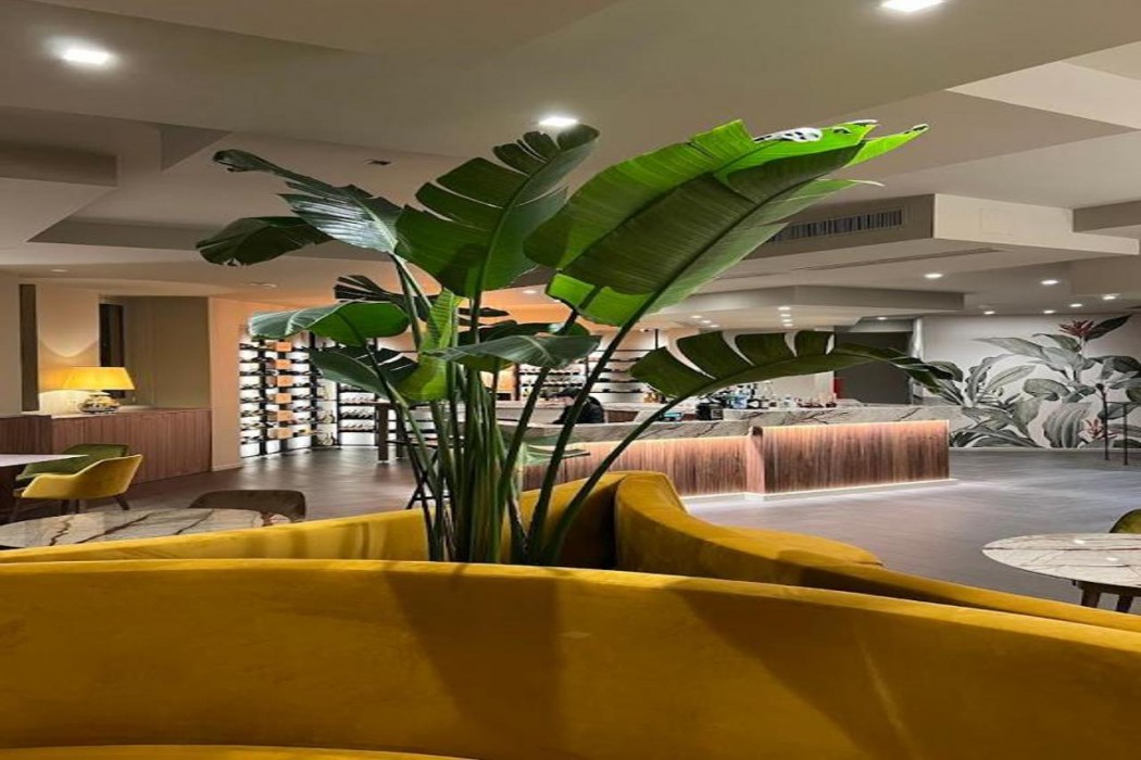 Hotel Nuovo 2/20