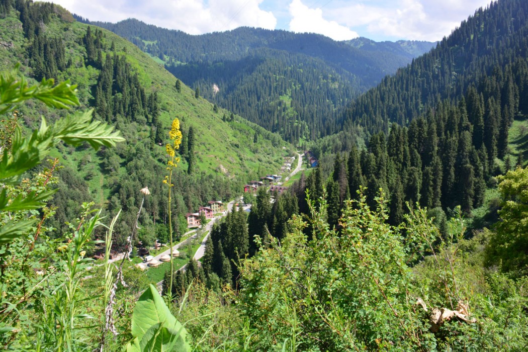 Oi-Qaragai Mountain Resort 18/102