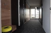 Bunk Backpackers Surfers Paradise Hostel 20/76