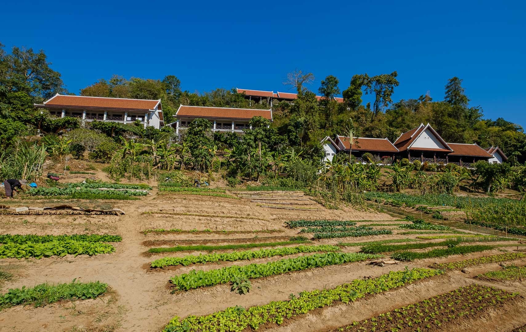 SANCTUARY PAKBENG LODGE in PAK BENG