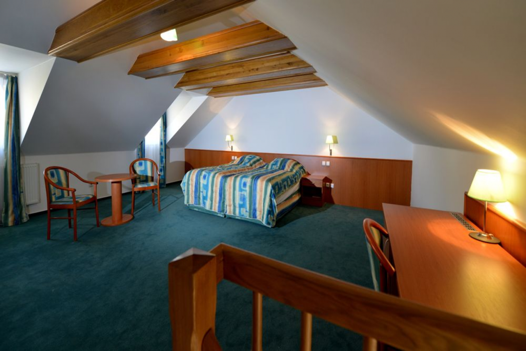 Hotel Dvorak 17/66