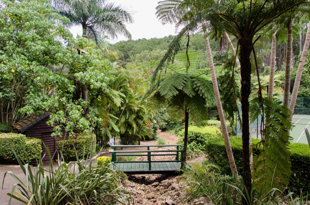 Montville Mountain Inn 23/62