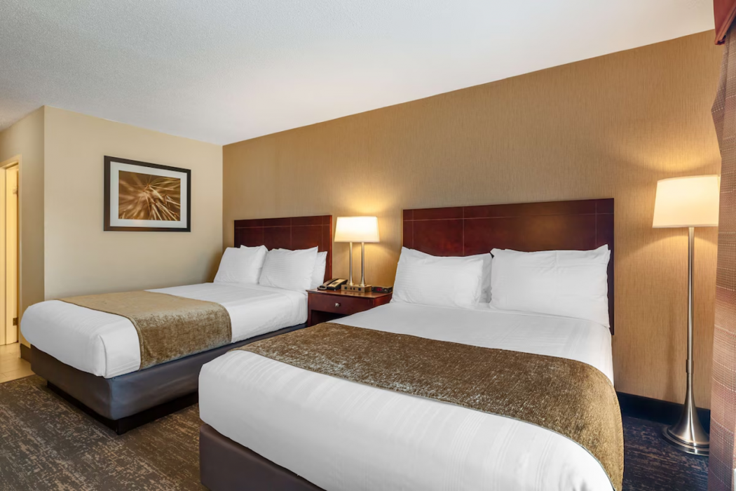 Best Western Braintree Inn 25/63