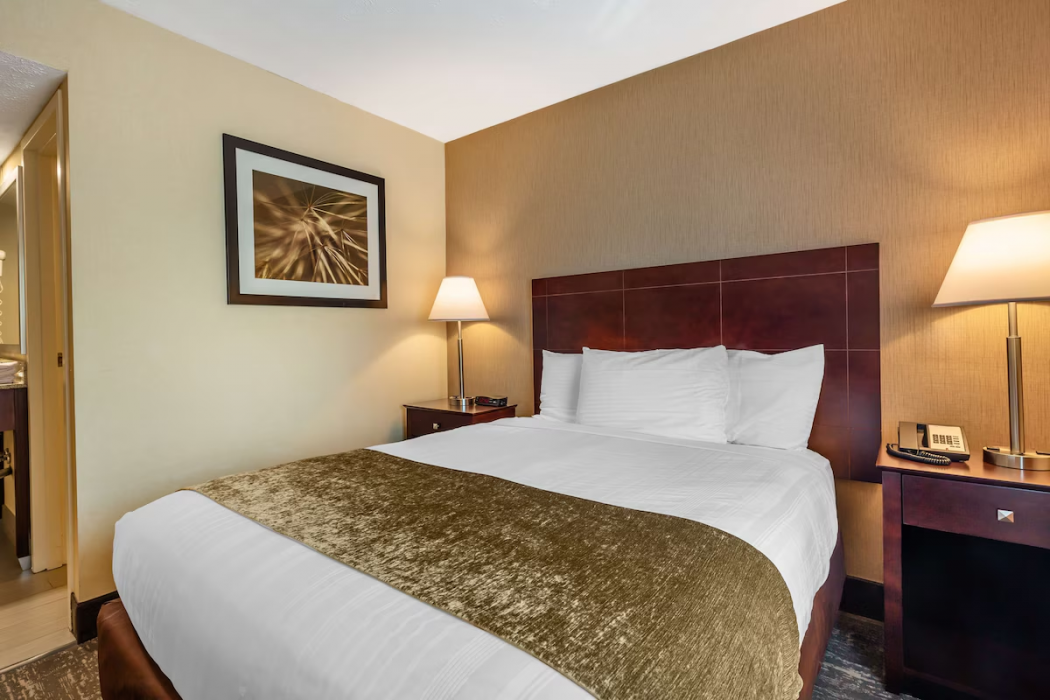 Best Western Braintree Inn 16/63