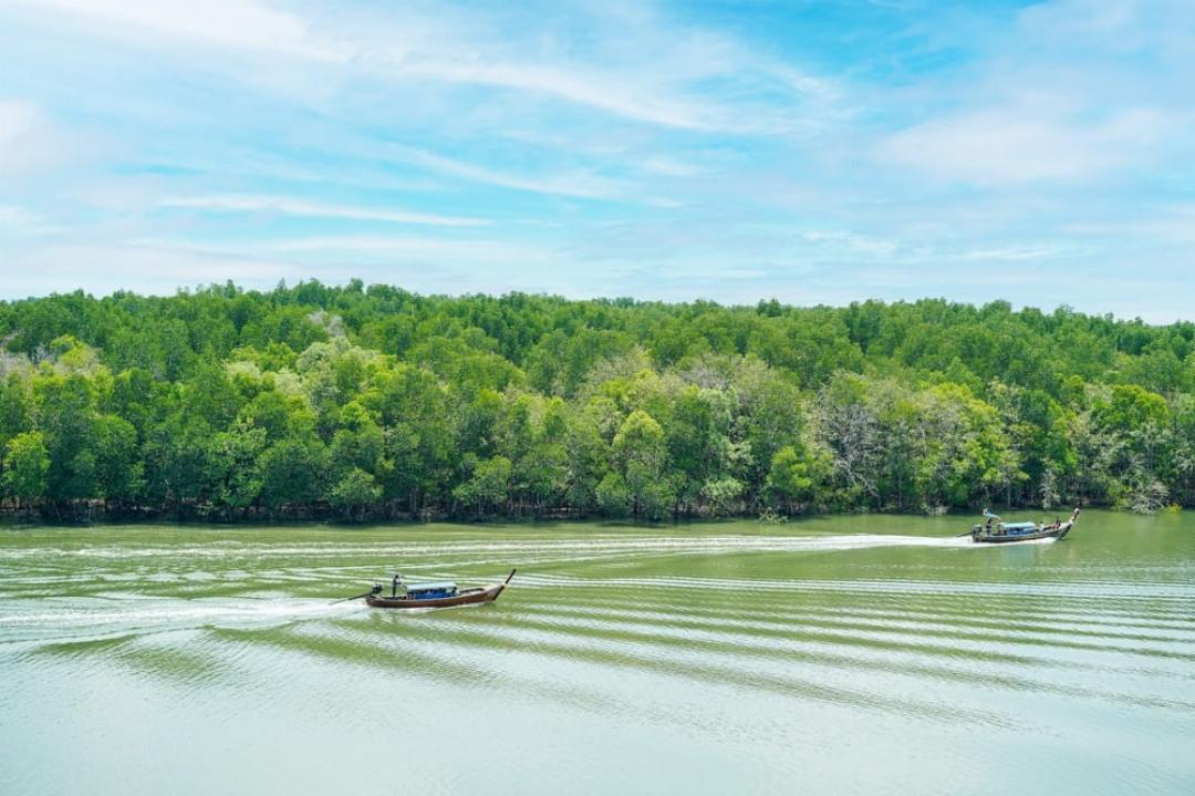 Amantra Lake View 51/72