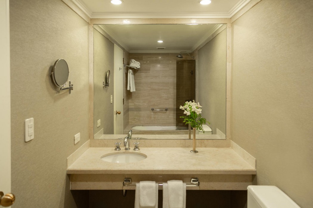 Intercontinental Buenos Aires (Intercontinental Hotel) 10/66