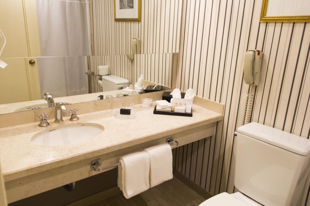 Intercontinental Buenos Aires (Intercontinental Hotel) 15/66