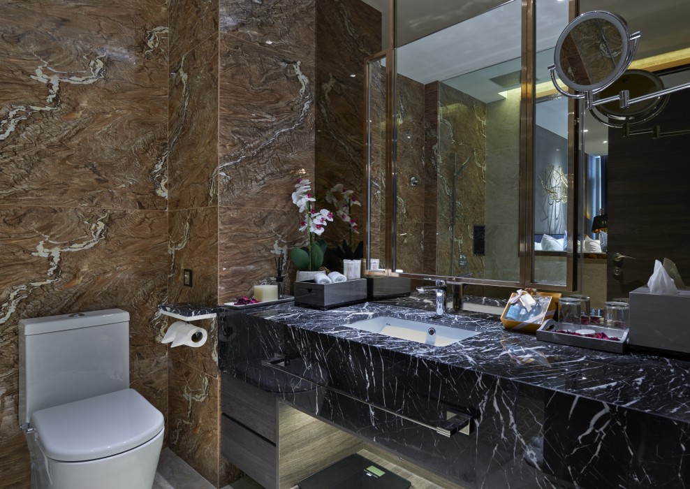 Hotel MetraSquare 15/50