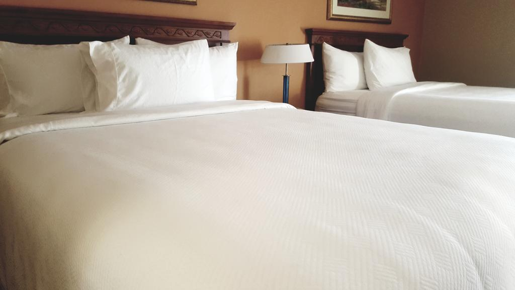 Hotel XOLA, Trademark Collection by Wyndham 11/50