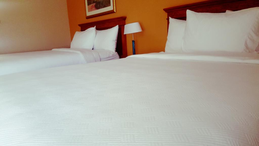 Hotel XOLA, Trademark Collection by Wyndham 10/50