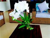 Alborada Hotel by AHMA 10/27