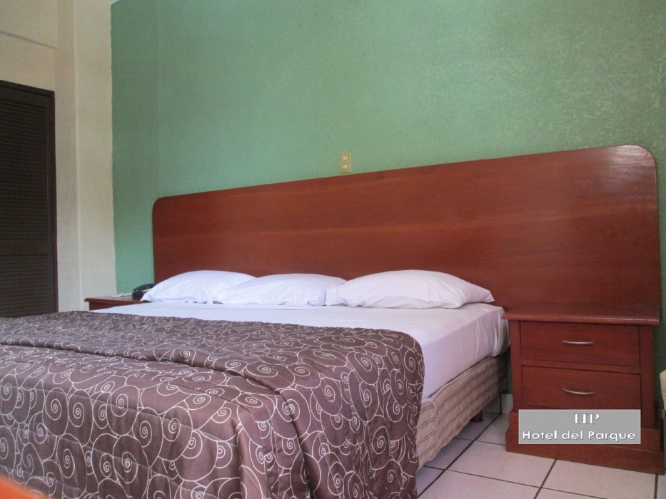Capital O Hotel Del Parque Guadalajara 39/89