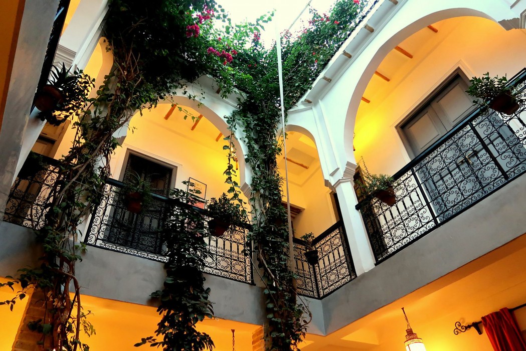 Les Jardins de Mouassine 28/100