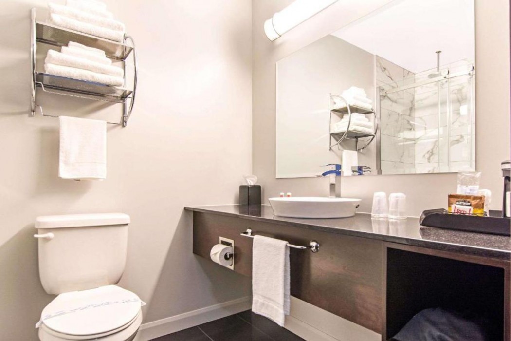 Econo Lodge Inn & Suites Saint-Apollinaire 34/52