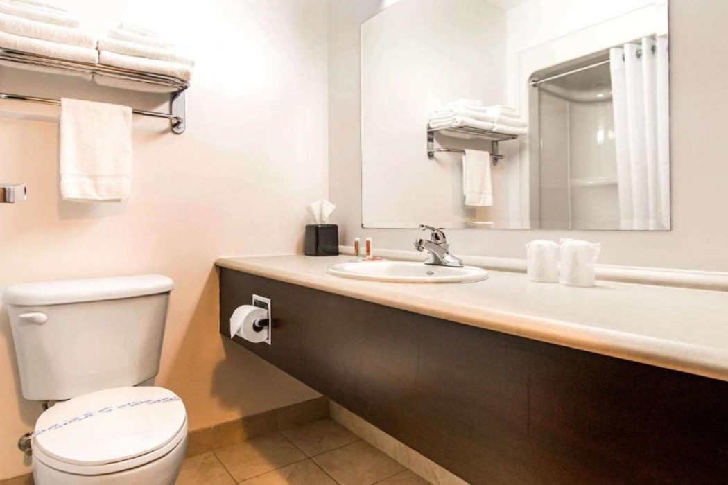 Econo Lodge Inn & Suites Saint-Apollinaire 24/52