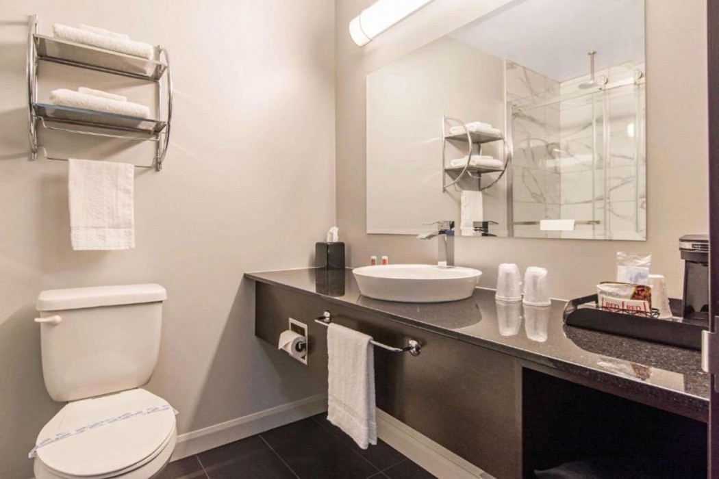Econo Lodge Inn & Suites Saint-Apollinaire 35/52