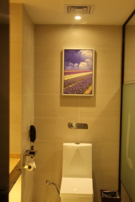 Lavande Hotel Guangzhou Science City Lianhe 17/56