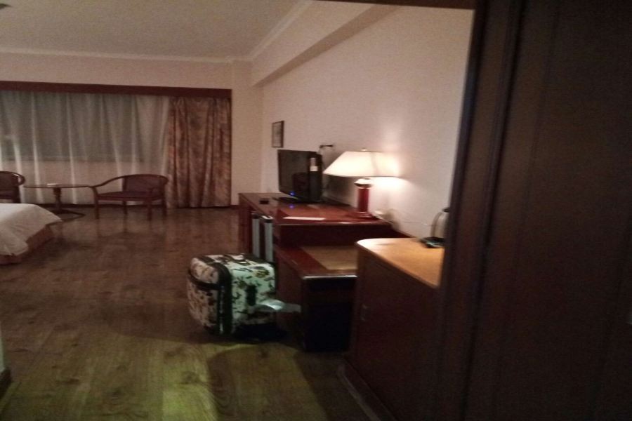 Shenyang Airport Hotel 30/46