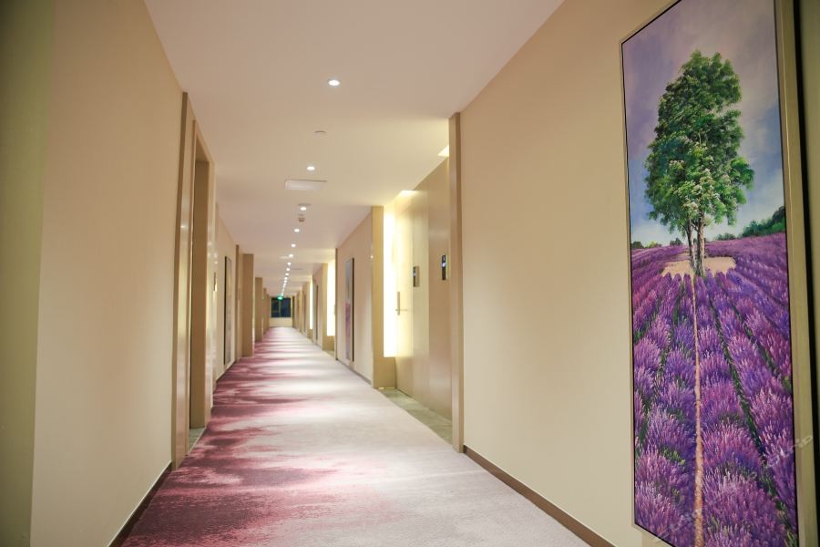 Lavande Hotel (Shenzhen North Railway Station) 6/18