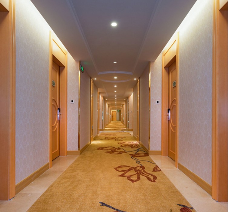 Vienna International Hotel (Shenzhen Dameisha) 21/43
