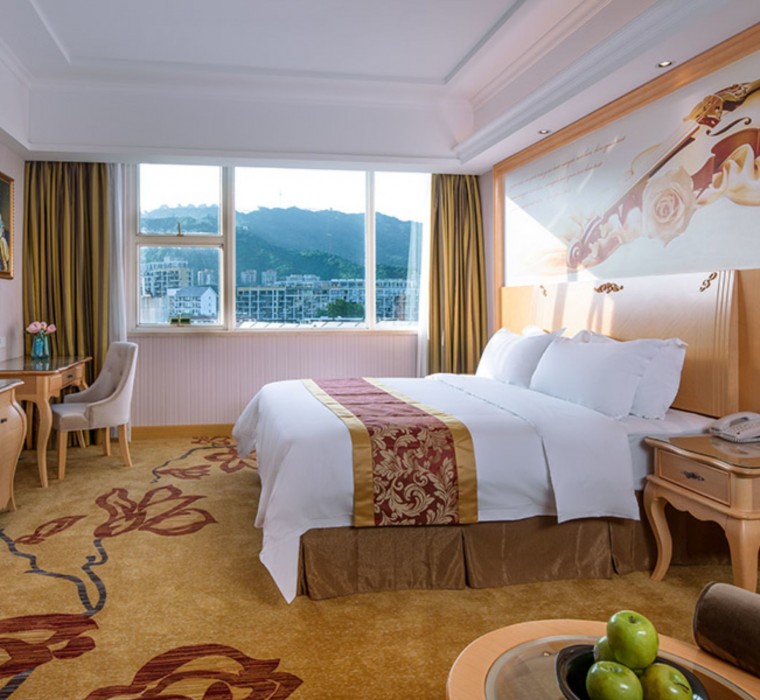 Vienna International Hotel (Shenzhen Dameisha) 20/43