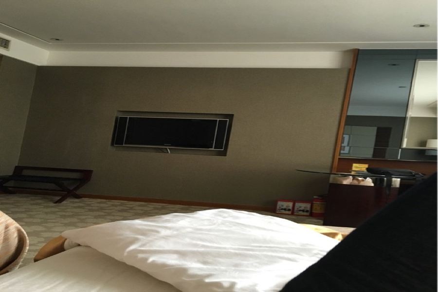 Shunjing Garden Hotel 20/41