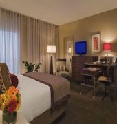 Hyatt Regency DFW International Airport 15/58
