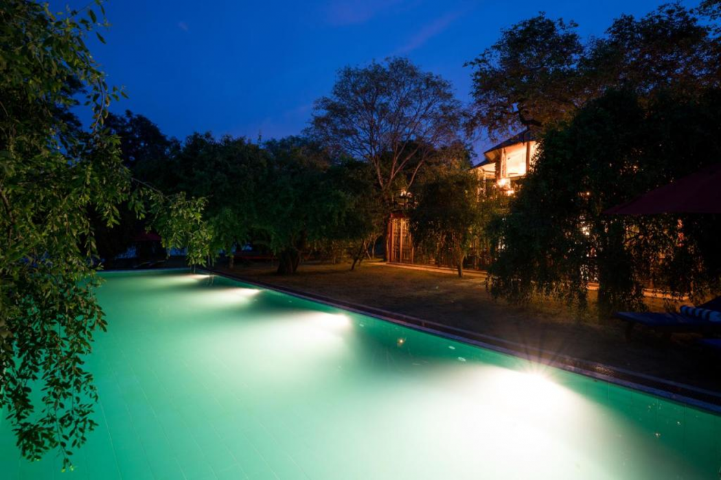 Flameback Eco Lodge 25/61
