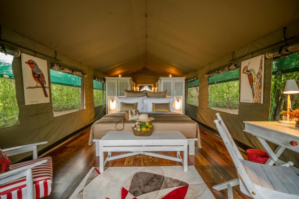 Flameback Eco Lodge 10/61