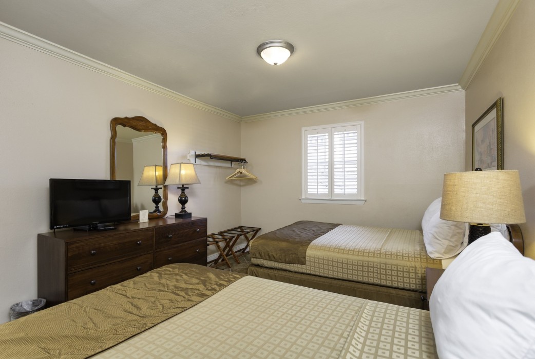 French Quarter套房酒店(French Quarter Suites Hotel) 图片4