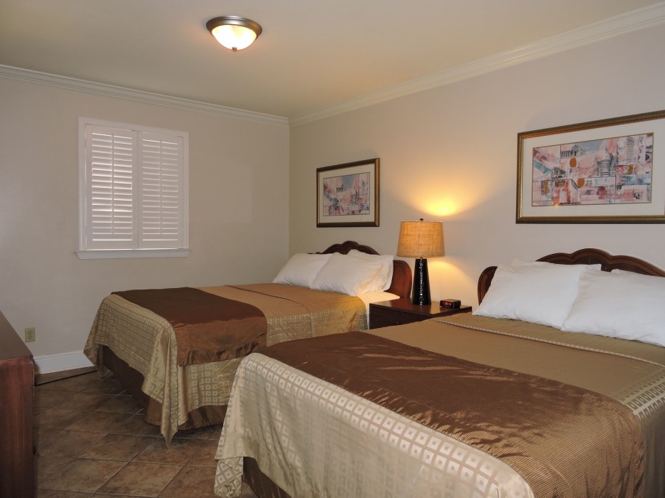 French Quarter套房酒店(French Quarter Suites Hotel) 图片5