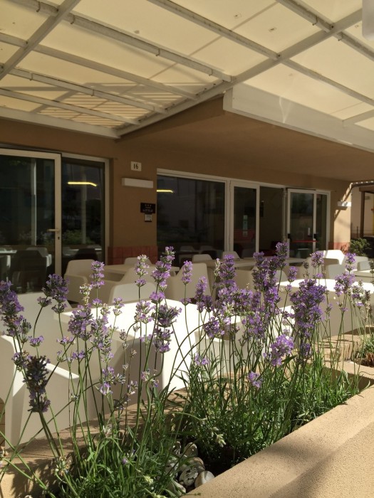 Hotel Little 26/57