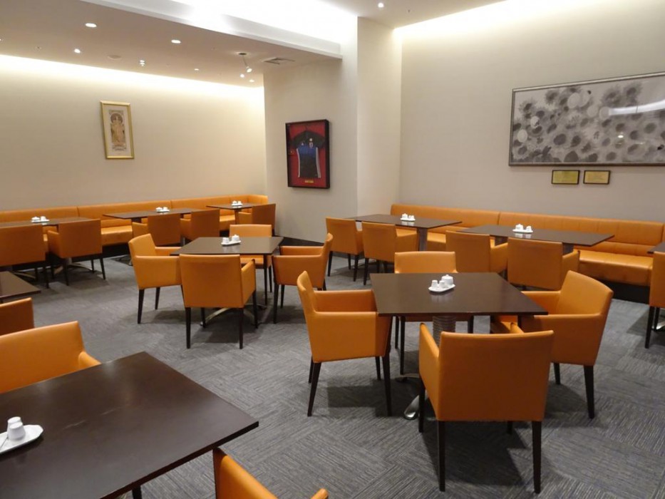 Hotel Toyota Castle 20/40