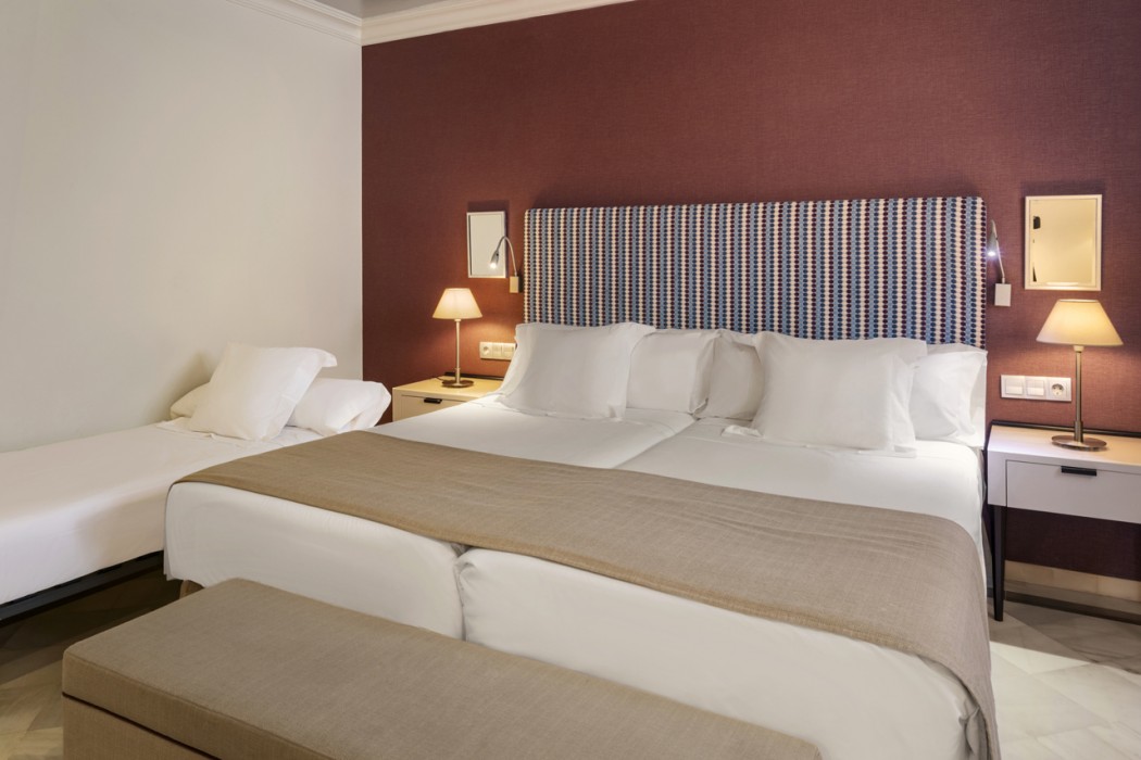 Vincci Albayzin Hotel 15/69
