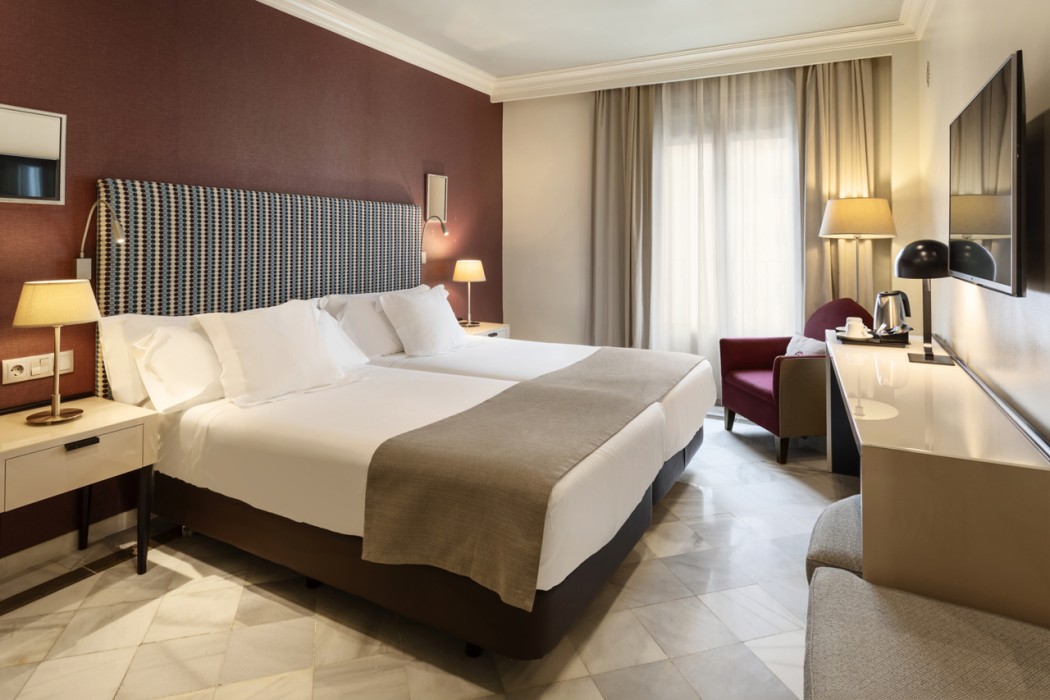 Vincci Albayzin Hotel 18/69