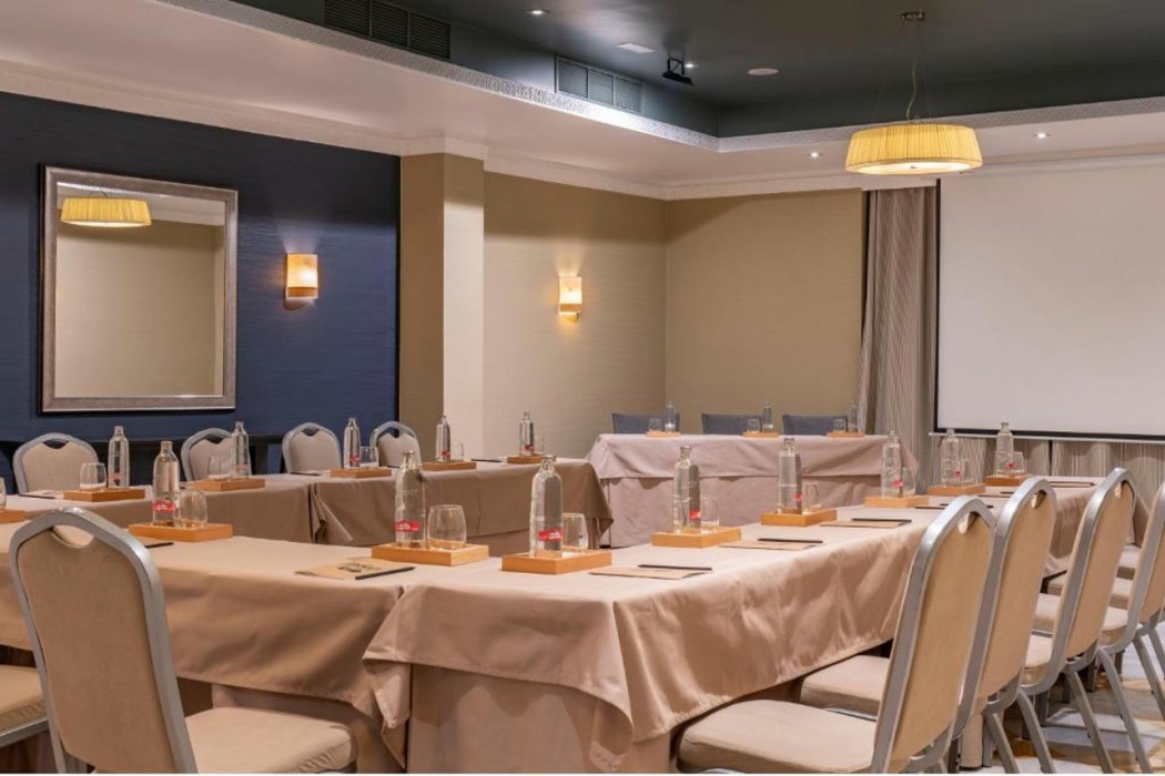 Vincci Albayzin Hotel 33/69