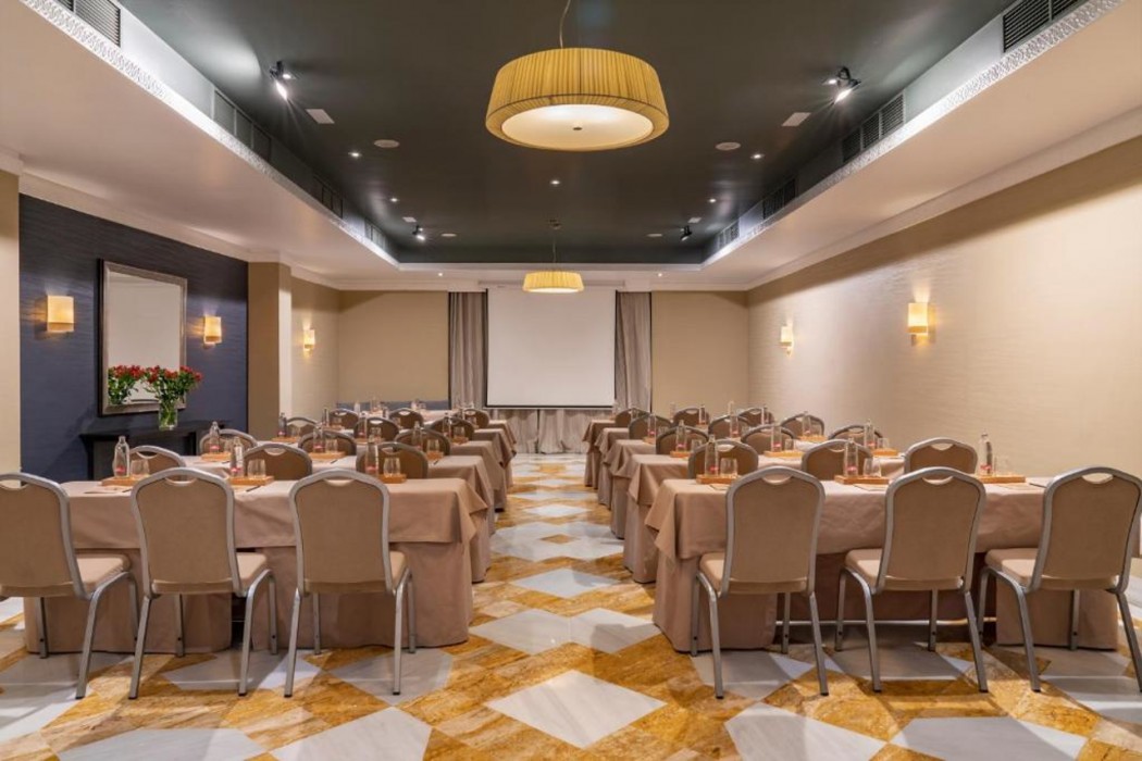 Vincci Albayzin Hotel 36/69