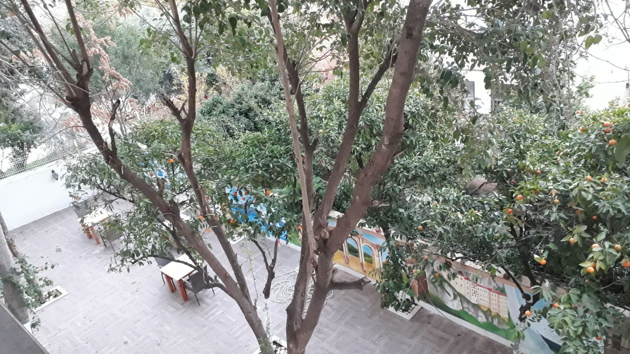 Dream Time Hotel 31/31