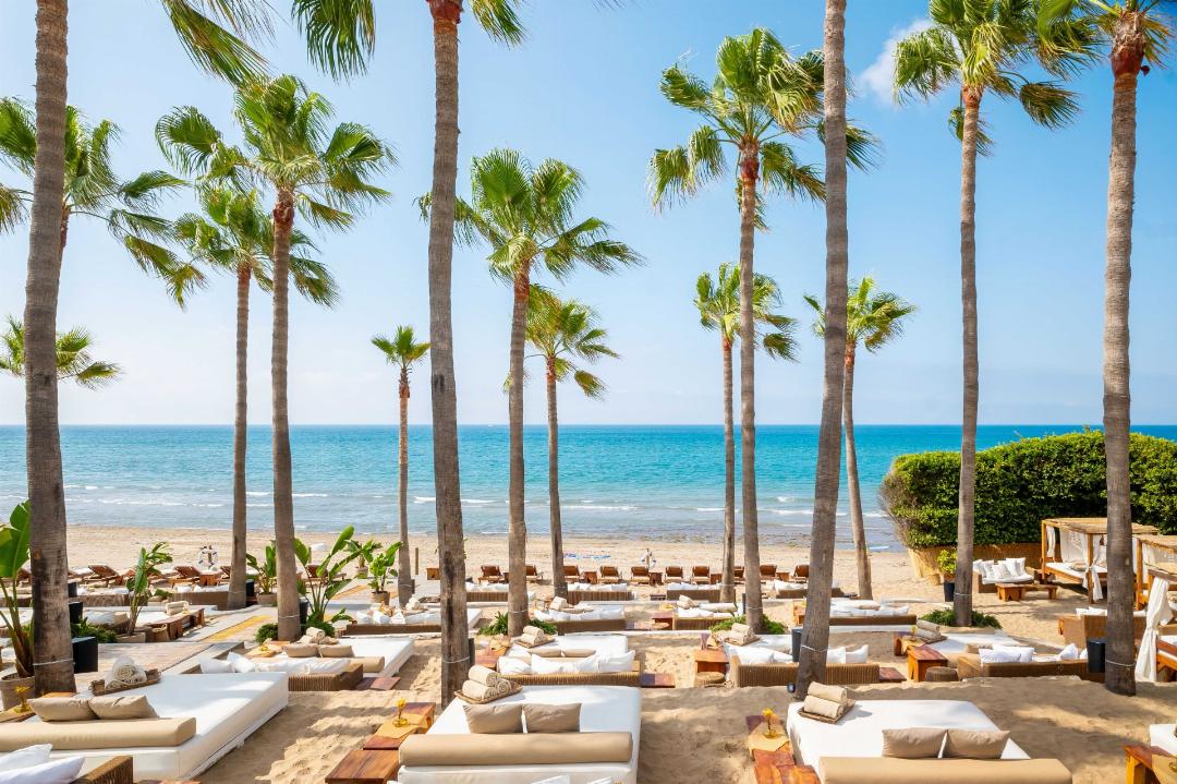 Don Carlos Marbella 29/80