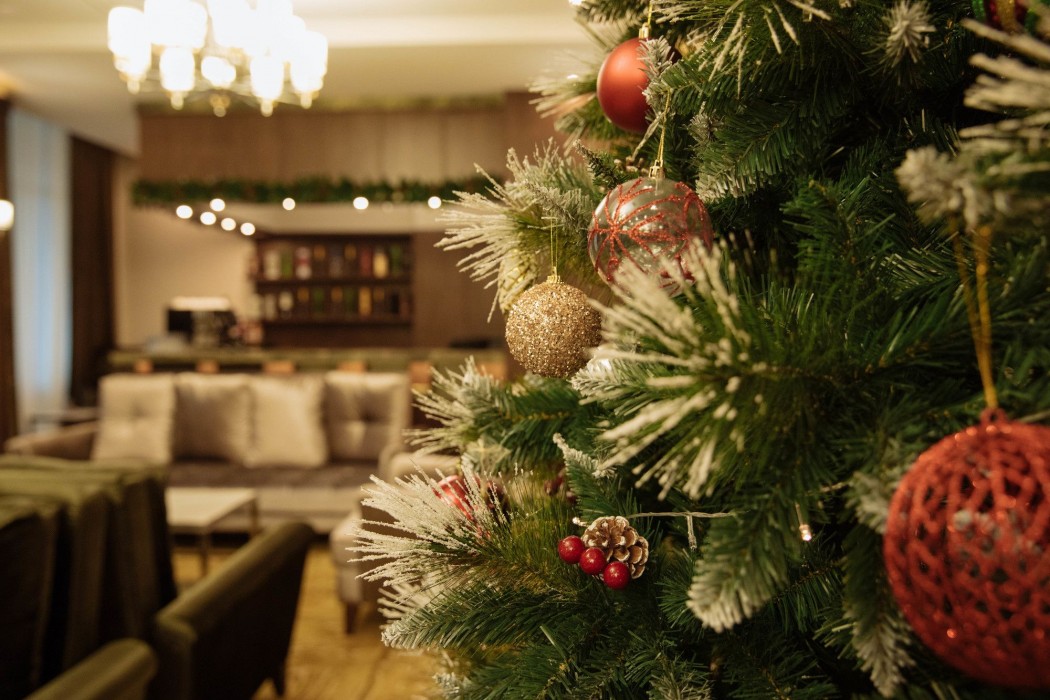 Garden Park Inn, Almaty 43/74