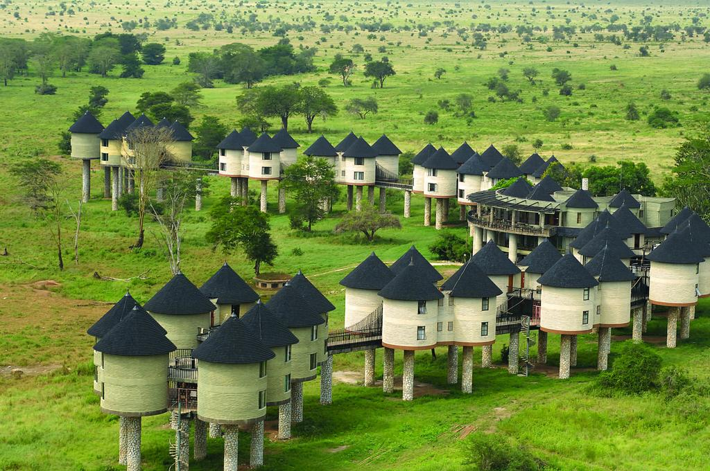 Salt Lick Safari Lodge in TAITA HILLS