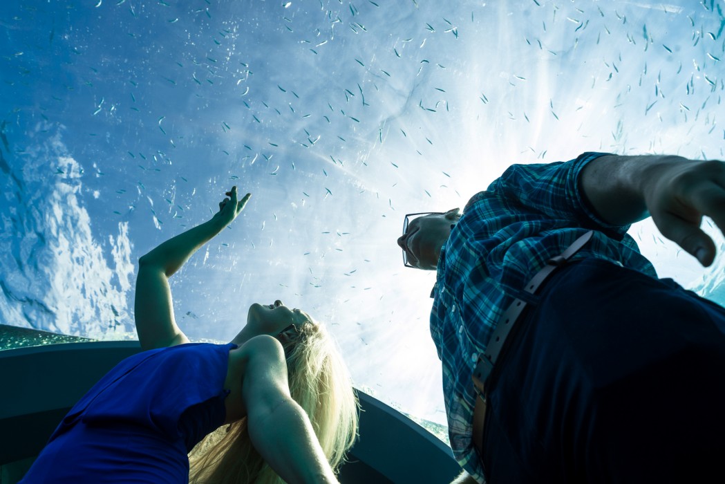 You and Me by Cocoon Maldives 169/293