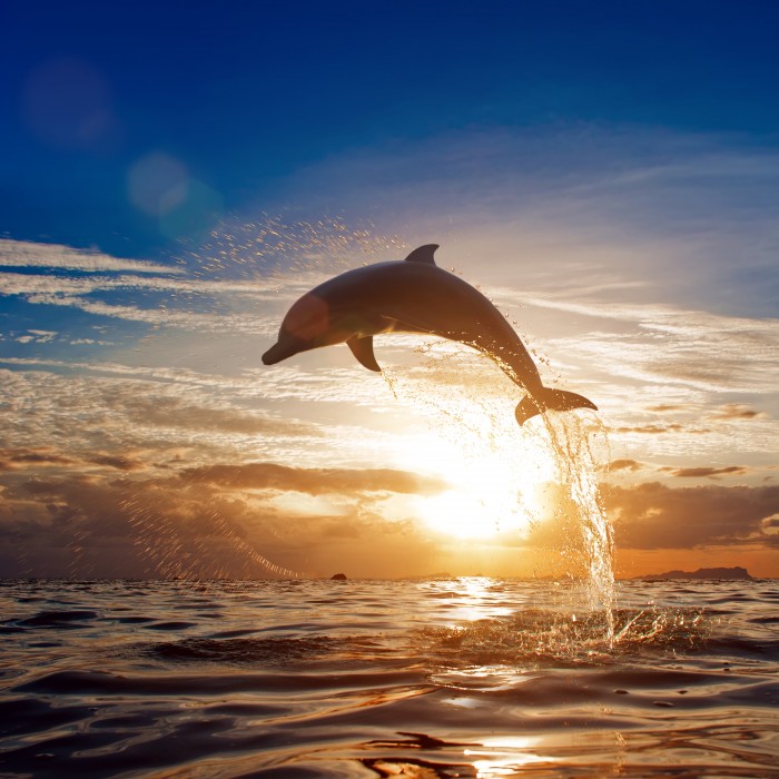 You and Me by Cocoon Maldives 235/293