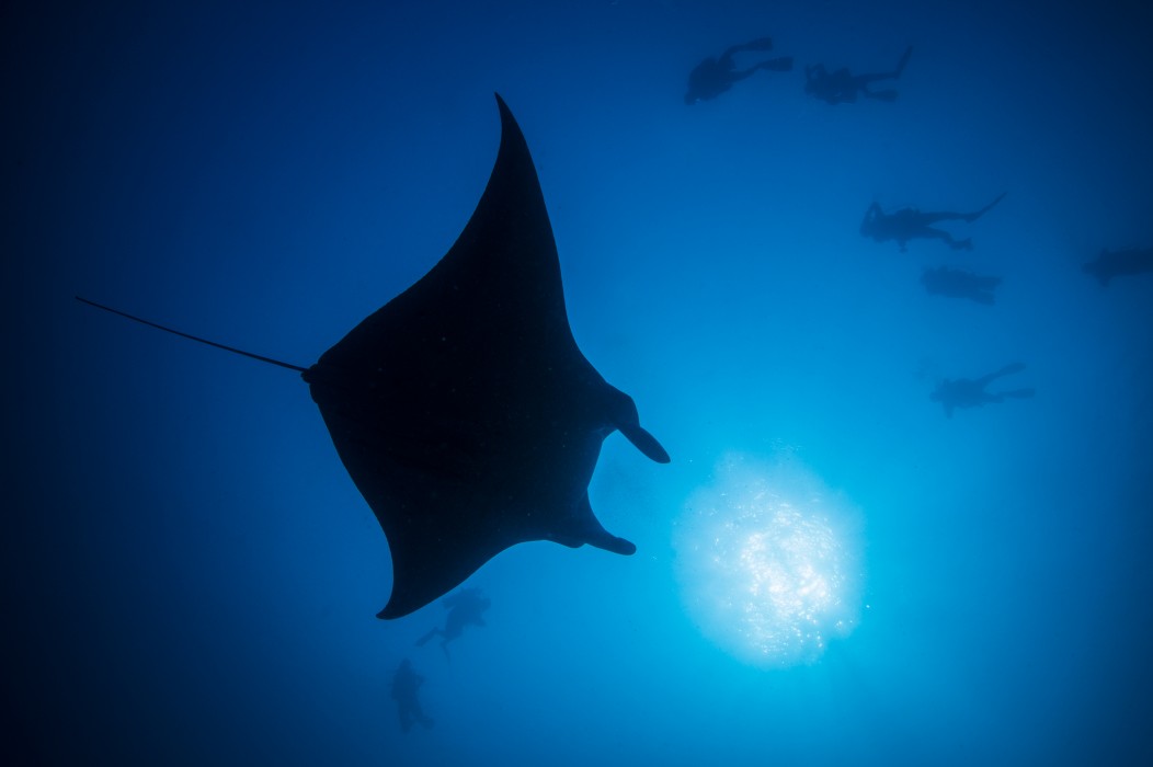 You and Me by Cocoon Maldives 244/293