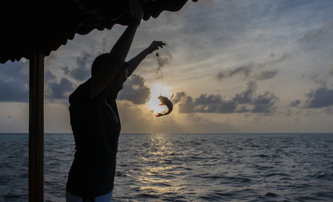 You and Me by Cocoon Maldives 256/293