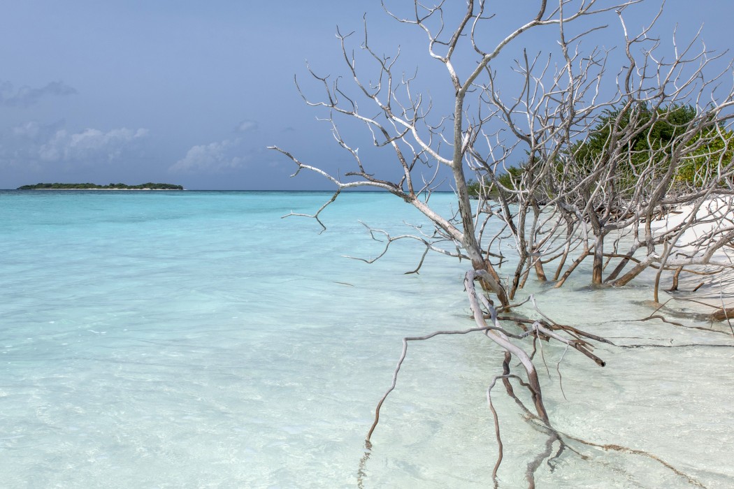 You and Me by Cocoon Maldives 236/293