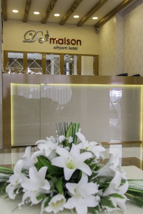 DE MAISON AIRPORT HOTEL 41/63